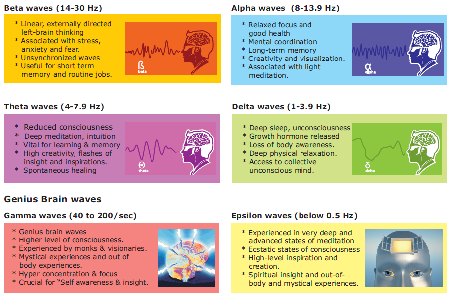 brainwaves