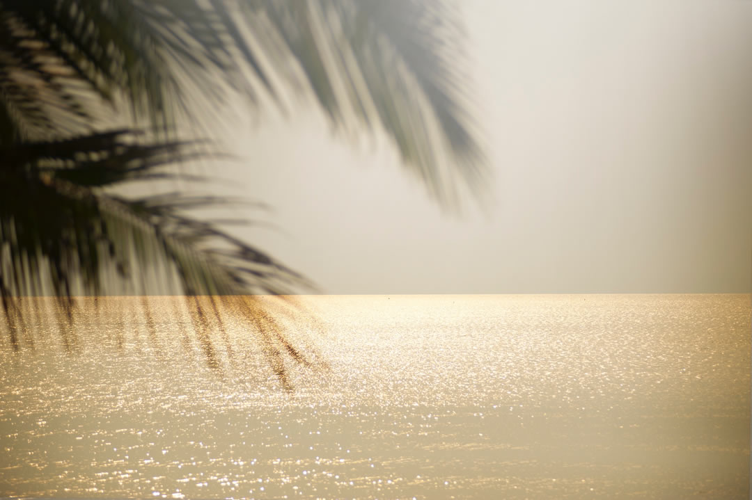 Why Meditate, Meditation Classes Sydney, Meditation Courses Sydney